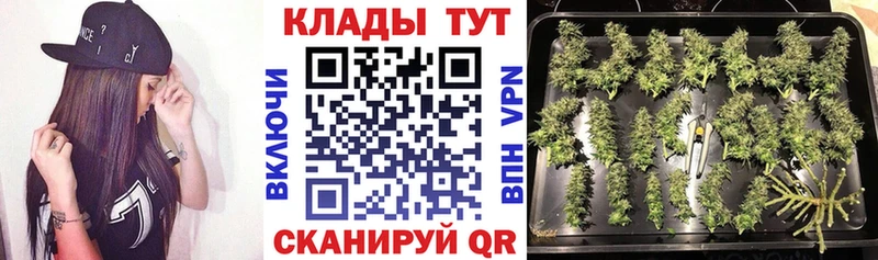 Купить наркотики сайты Зерноград Гашиш А ПВП Cocaine Меф Канабис