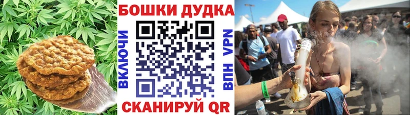 блэк спрут ТОР  где можно купить наркотик  Зерноград  Cannafood конопля 