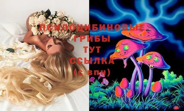 Альфа ПВП Алексеевка