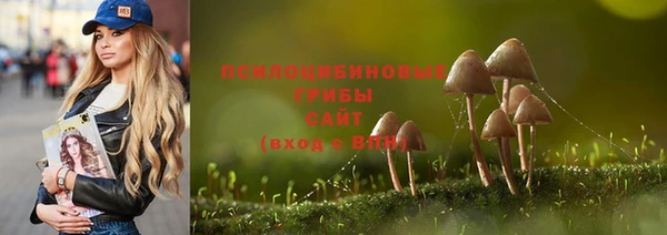 прущие грибы Абинск