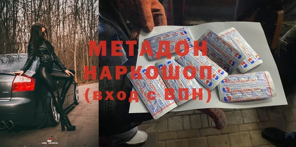 прущие грибы Абинск
