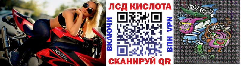 Марки N-bome 1,5мг  дарк нет клад  Зерноград  где купить  