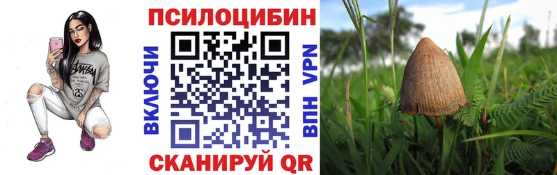 хочу   Зерноград  Псилоцибиновые грибы мицелий 